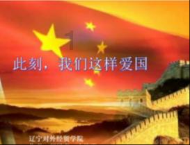 救援袋鼬